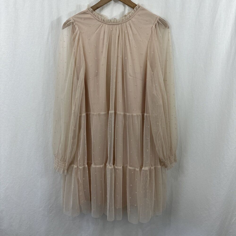 H&M Pink Swiss Dot Tulle Balletcore Romantic Semi-Sheer Dress Womens Size M